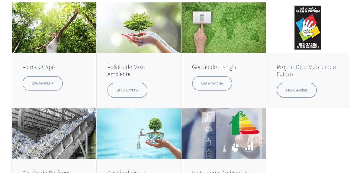 DO MEIO AMBIENTE AO MARKETING: A MARCA YPÊ