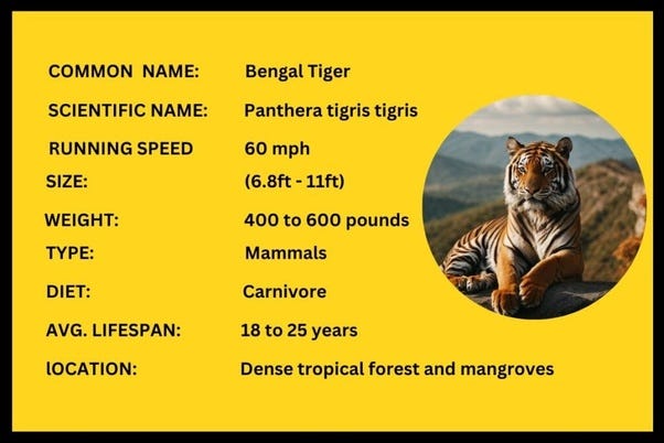Bengal Tiger: Diet, Habitat, Facts, and Population