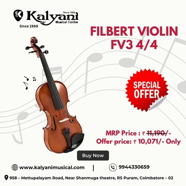 Violin online clearance price