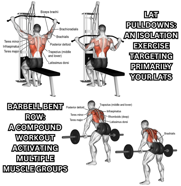 Lat pulldown barbell hotsell
