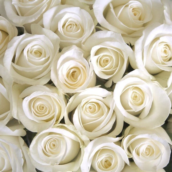 11 Rose Colors and Meanings to Know Before Sending a Bouquet
