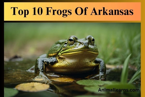 Top 10 Frogs Of Arkansas, Frogs and Toads of Arkansas, by Animal Learns