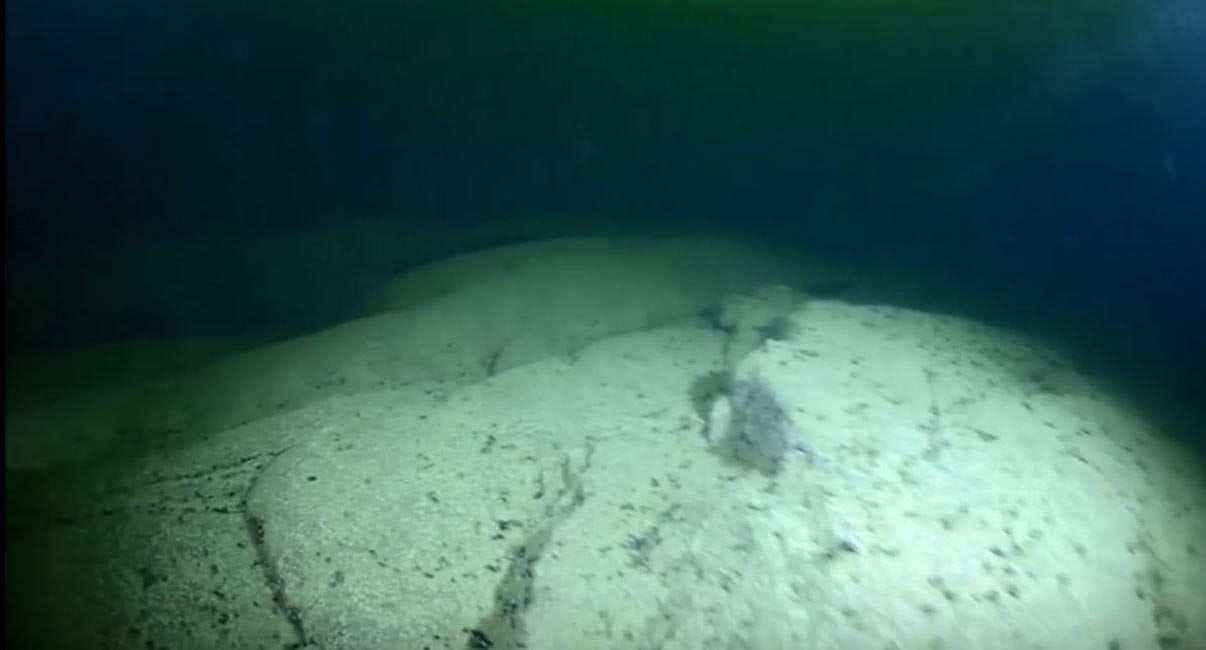 ROV-kameran kuva anomalian pinnasta [1].
