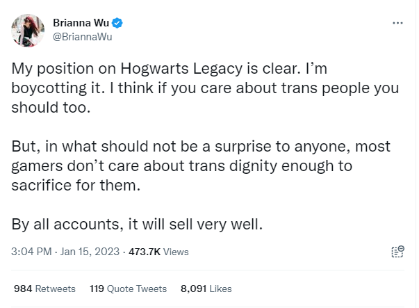 Fans Are Concerned About Pikamee After Hogwarts Legacy Harassment 