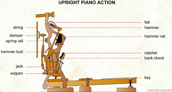 Improving the Upright Piano Action: A Mechanical Engineering Project Follow  Up. | by The STEminists | Medium