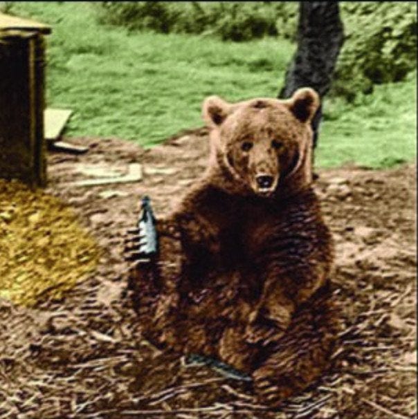 wojtek smoking cigarettes The Bear That Went To War. World War II was an expanse of awful… | by  Interesting Shit
