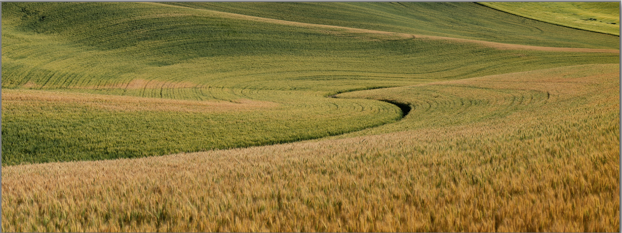 No Fertilizer, No Food