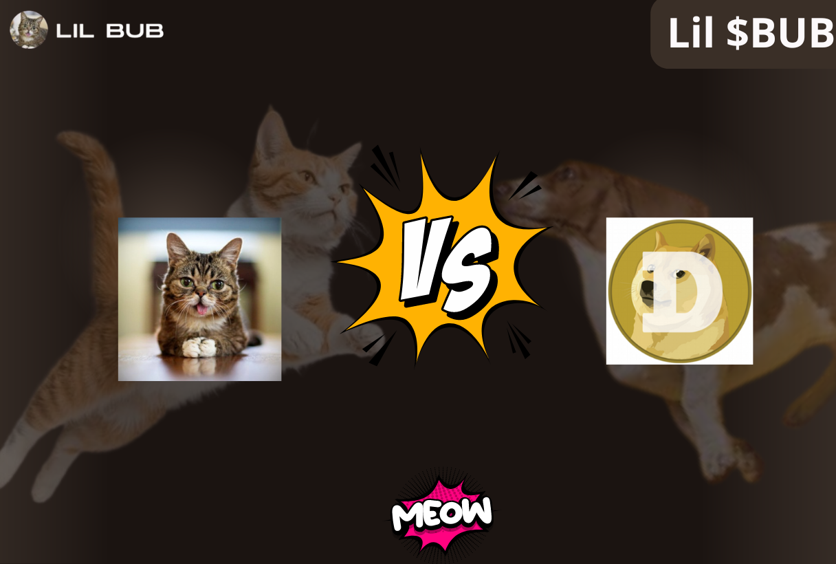 Lil BUB Token vs Dogecoin: A New Memecoin with Heart
