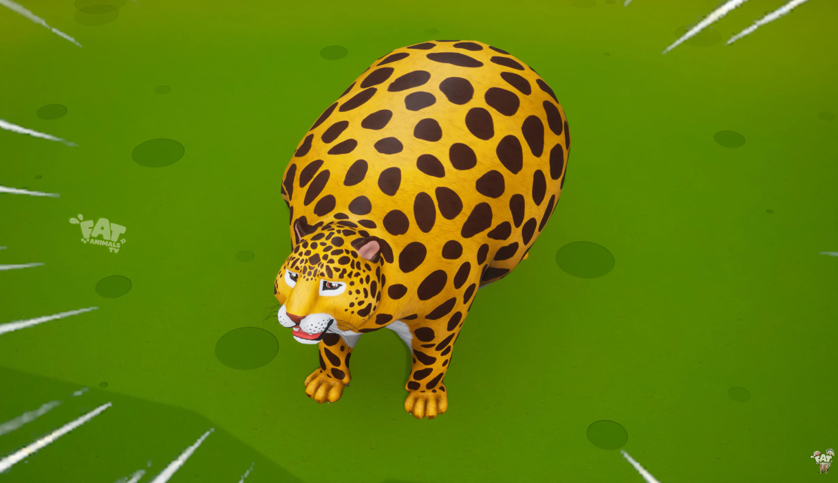 Crazy Fox vs. Cheetah: Epic Fun Battle | Hilarious Chubby Animals Cartoon Adventure!