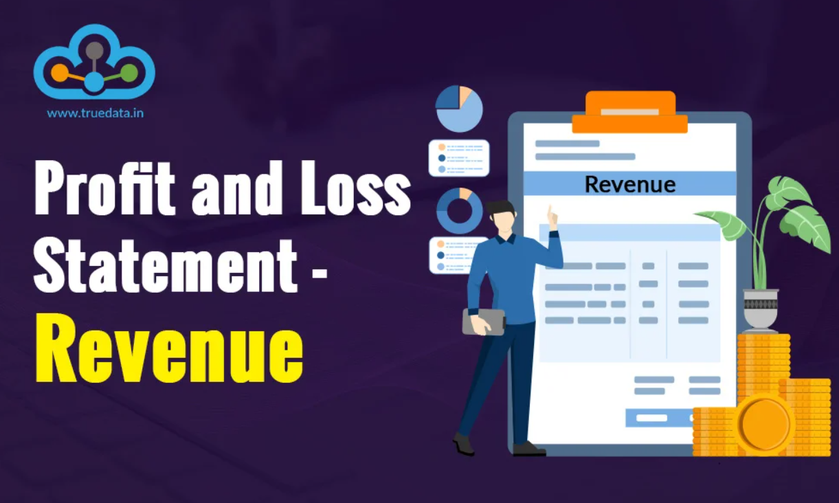 Revenue in the Profit and Loss Statement