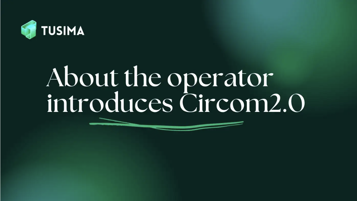 Подробнее о Circom 2.0