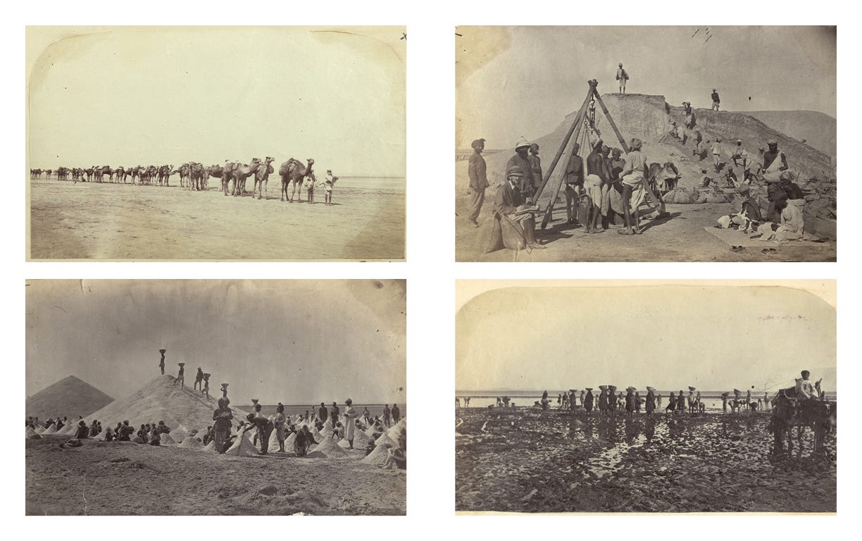 Captions clockwise from top-left: A Katar or String of Camels Taking Away the Salt; Filling Salt into Bags and Weighing the Salt; Extraction of Salt from Bed of Lake; Measuring Labourer’s Work and Storing Salt. Photographs from Sambhar Lake, India, 1870s (Source: The Empire’s Salt Tax: Uncovering the Forgotten Hedge of India)
