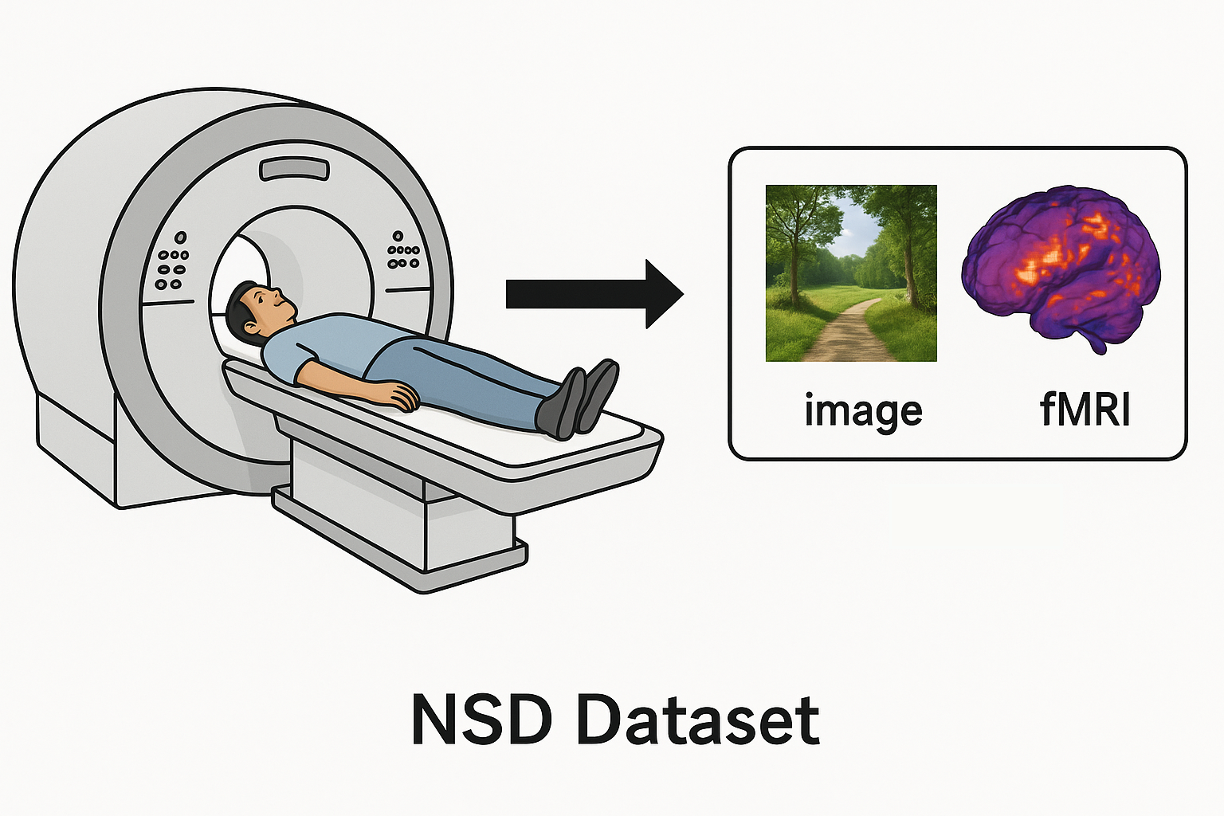 Optimizing Images for the Brain: From fMRI Encoding Models to Brain-Guided Generation