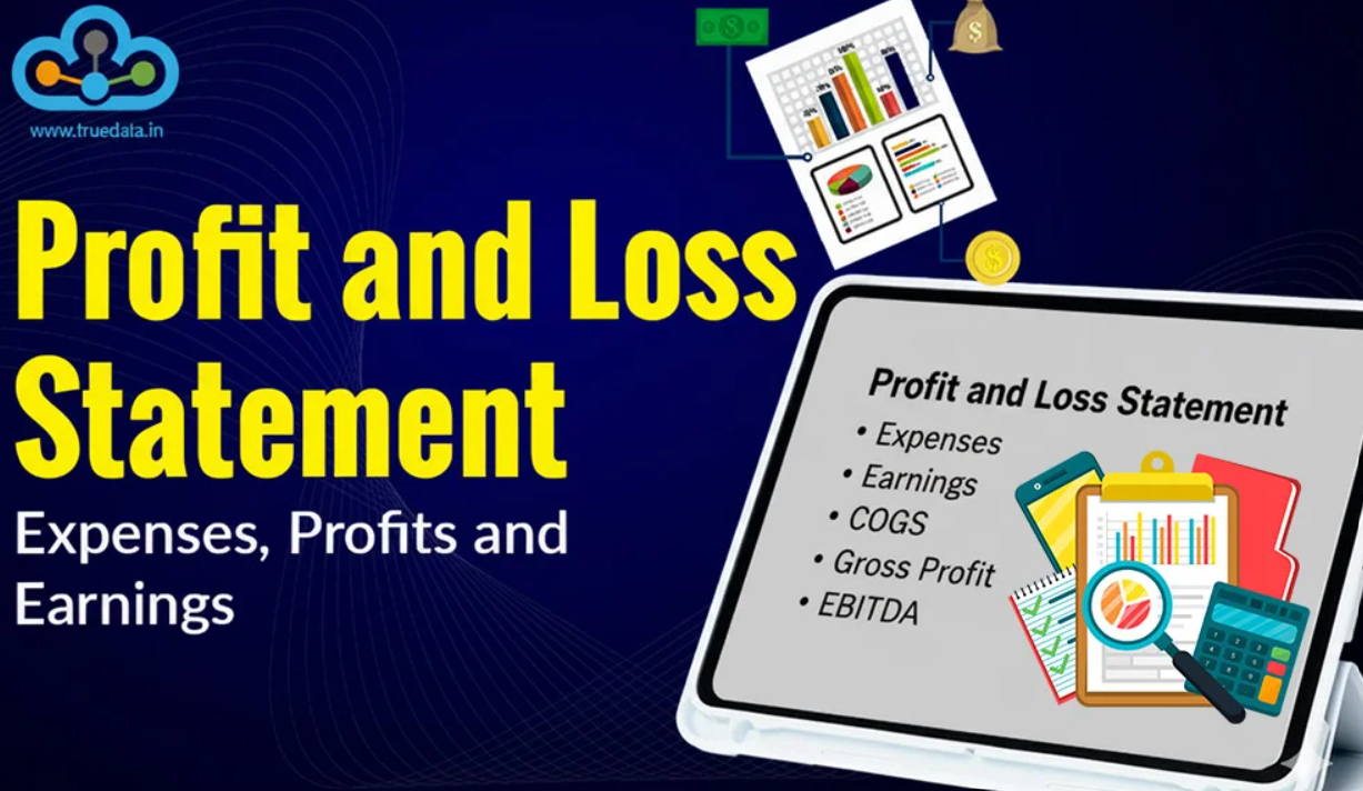 Profit and Loss Statement — Expenses, Profits and Earnings