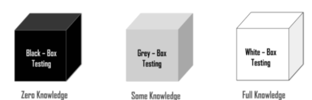 Cracking the Code: The Art of White Box Pentesting | by Saitleop | InfoSec  Write-ups