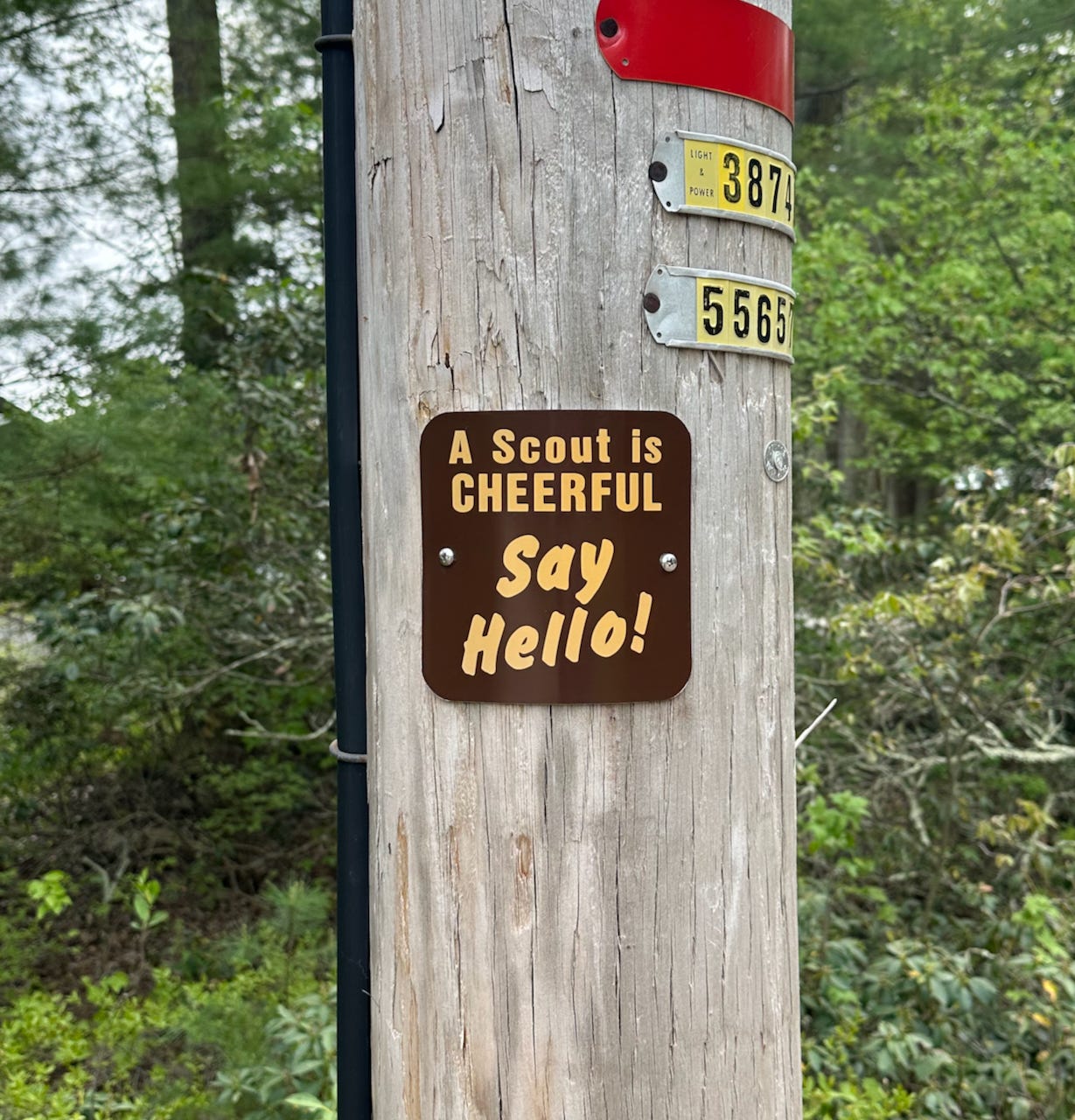 One of the first things I saw when I walked back camp. Photo by the author.