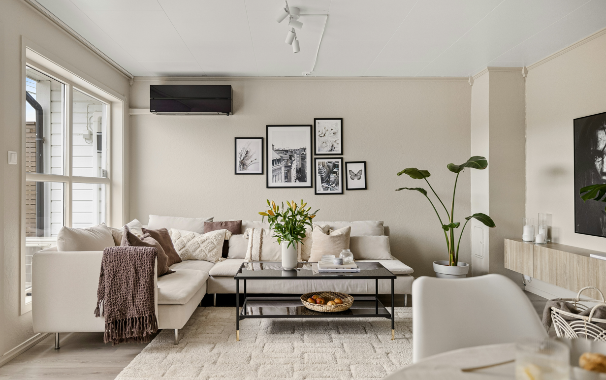 5 Secrets to Building a Cohesive Art Collection for Your Space
