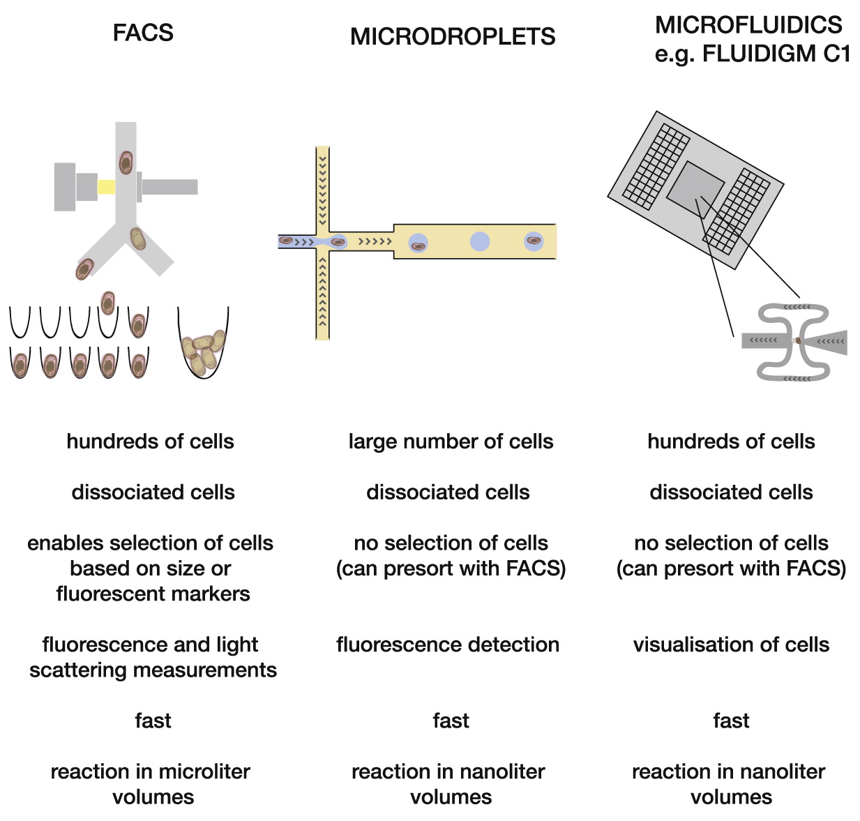 2) Single Cell Capturing — Captured from Suspended Cells. (1)