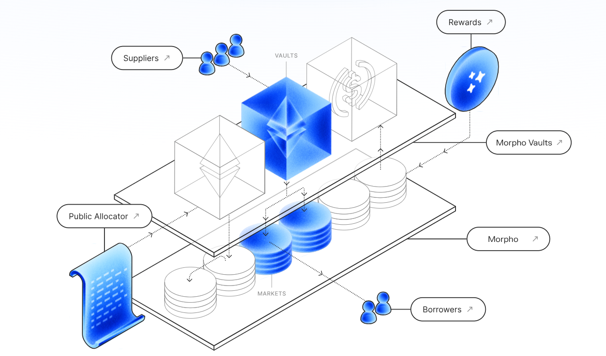 Project Research: MORPHO