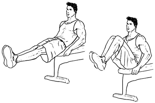 Seated Bench Leg Pull-Ins / Flat Bench Knee-ups – WorkoutLabs