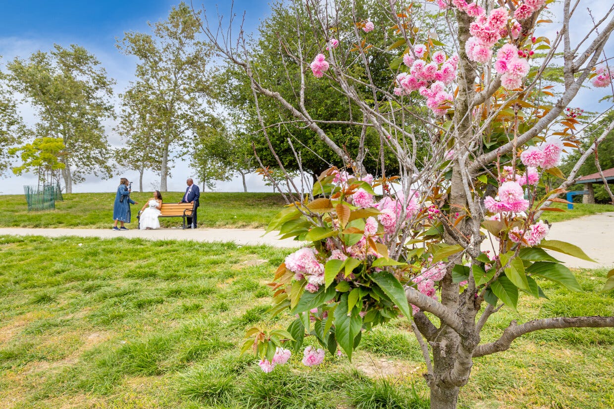 Exploring Nature at Sepulveda Basin Wildlife Reserve in Encino, CA
