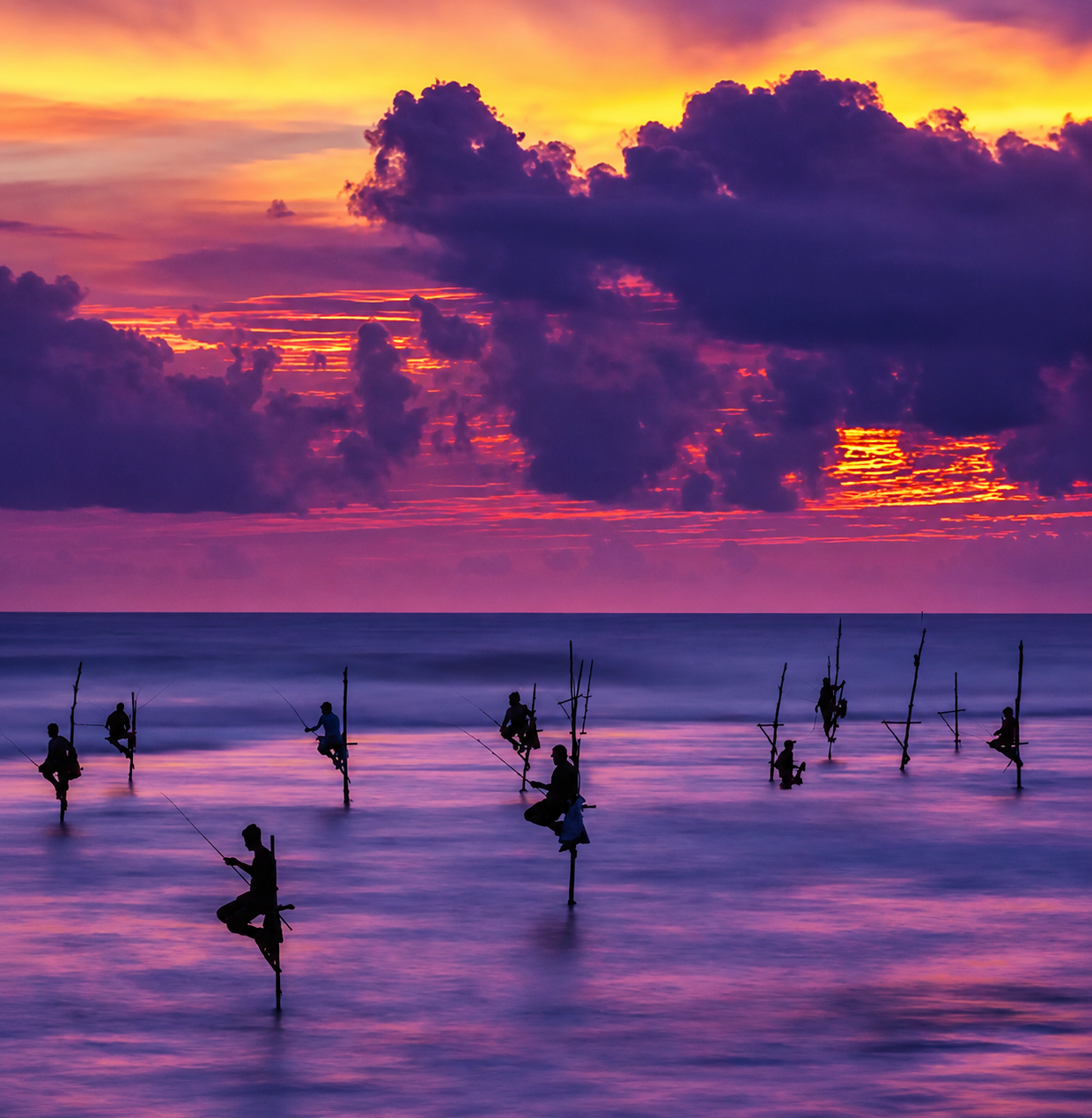 Guardianes del océano al atardecer