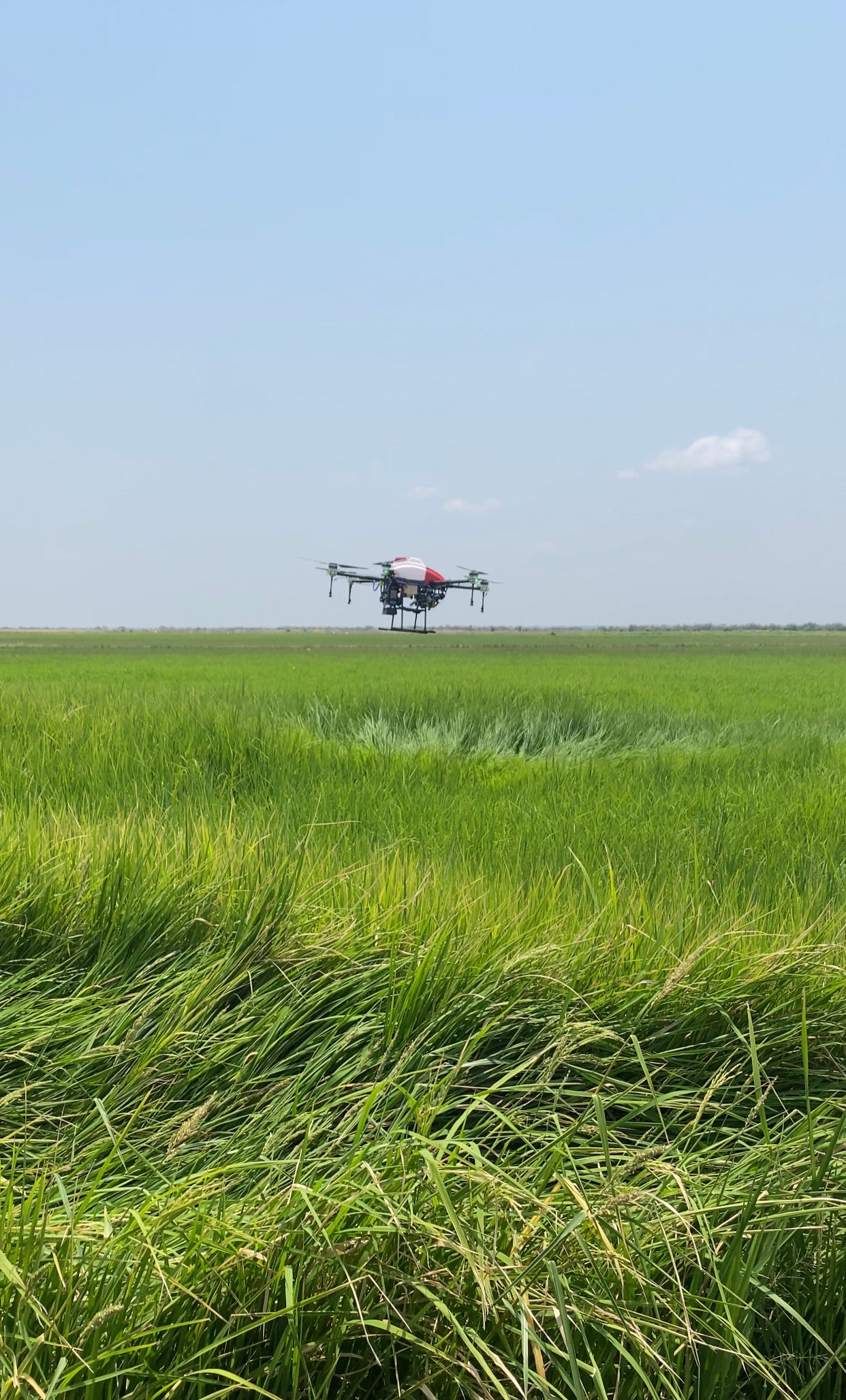 BeatDrone aerial surveillance in action over a large Nigerian farm.