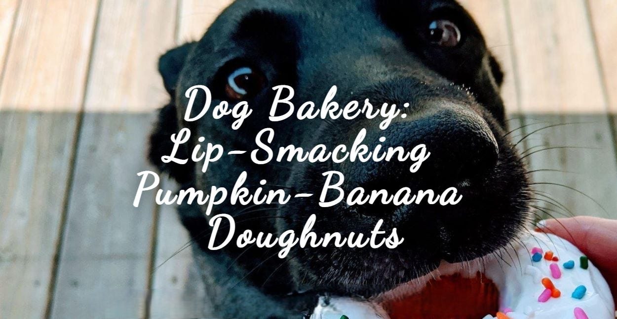 Dog Bakery: Lip-Smacking Pumpkin-Banana Doughnuts