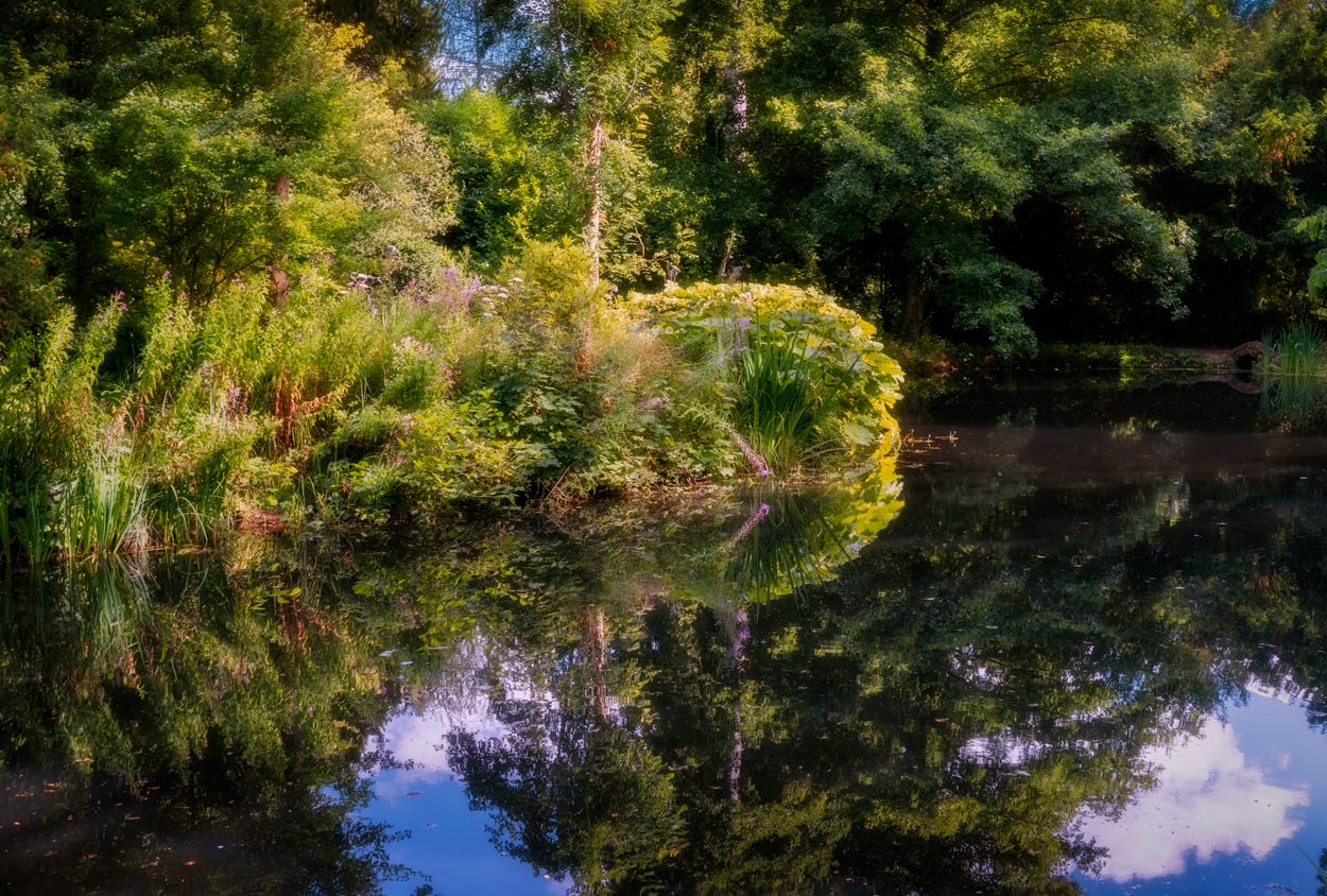 Photograph by Stephen Ellis Bell. Sony A7r mk4.
