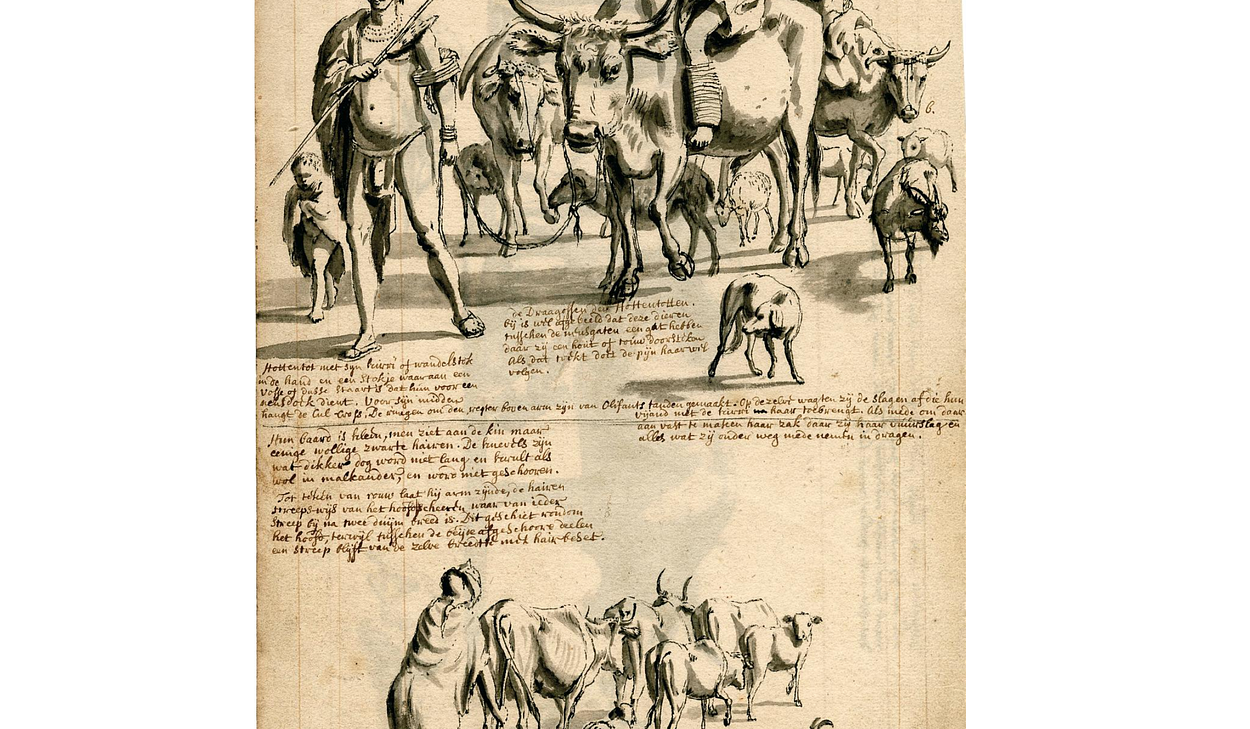 A black and white illustration, including drawing and handwritten text, of Khoikhoi people with cattle in South Africa, circa 1700