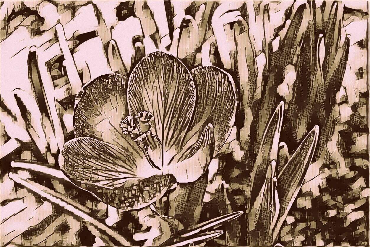 Día N°33: La trilogía de la irresponsabilidad; Belleza.