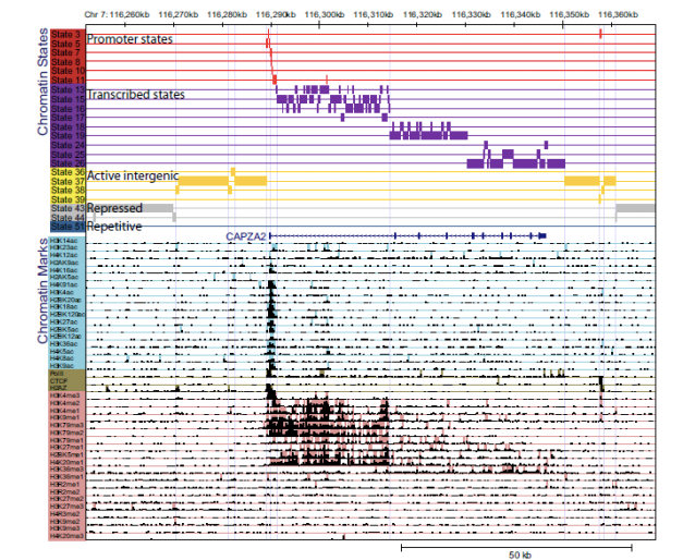 Chromatin Identification and Genome Annotation using Computational