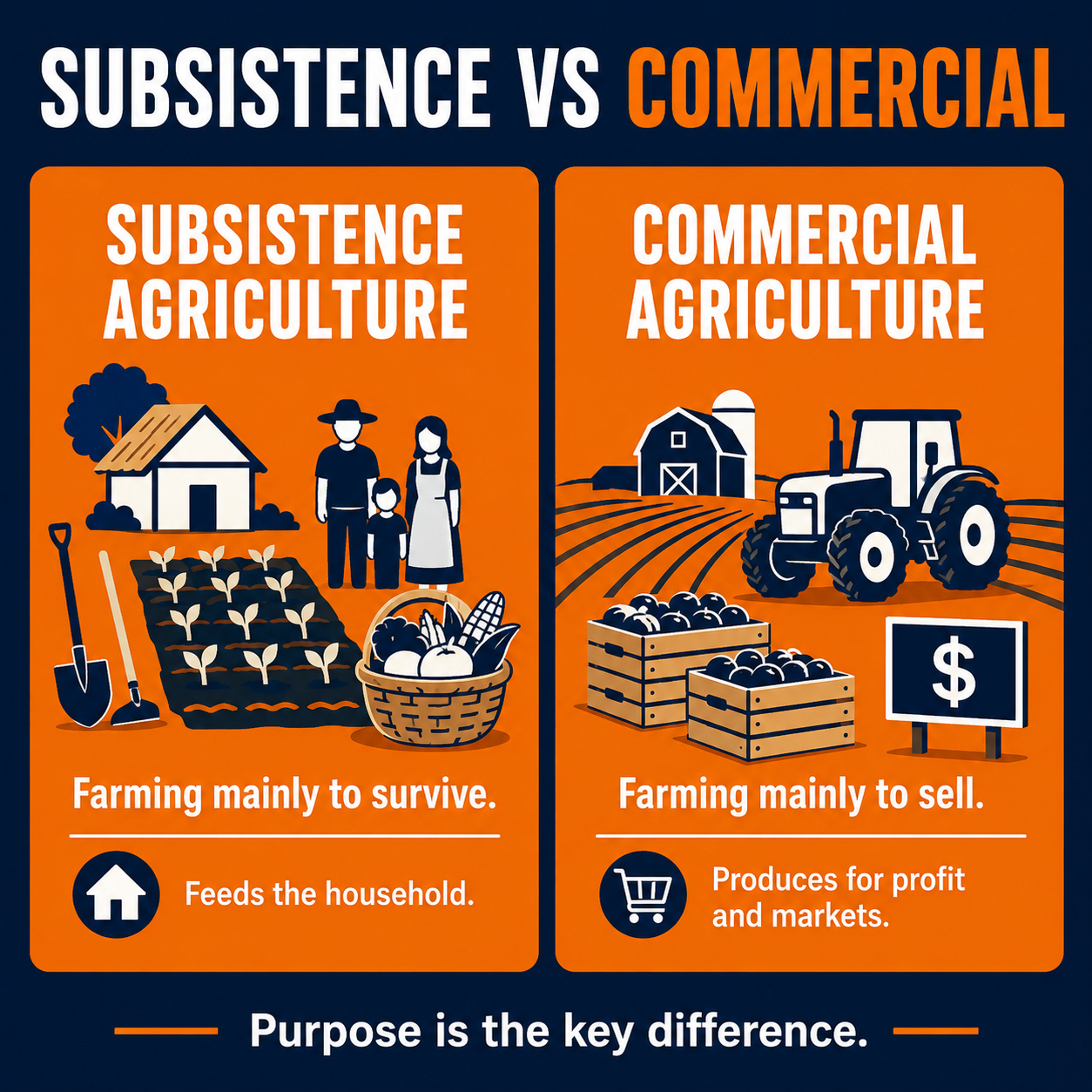 Subsistence vs Commercial Agriculture: The Farming Difference AP Human Geography Students Must Know