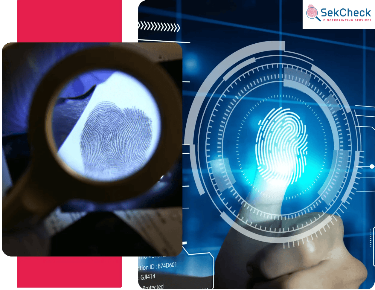 The Benefits of Choosing RCMP Fingerprinting Services