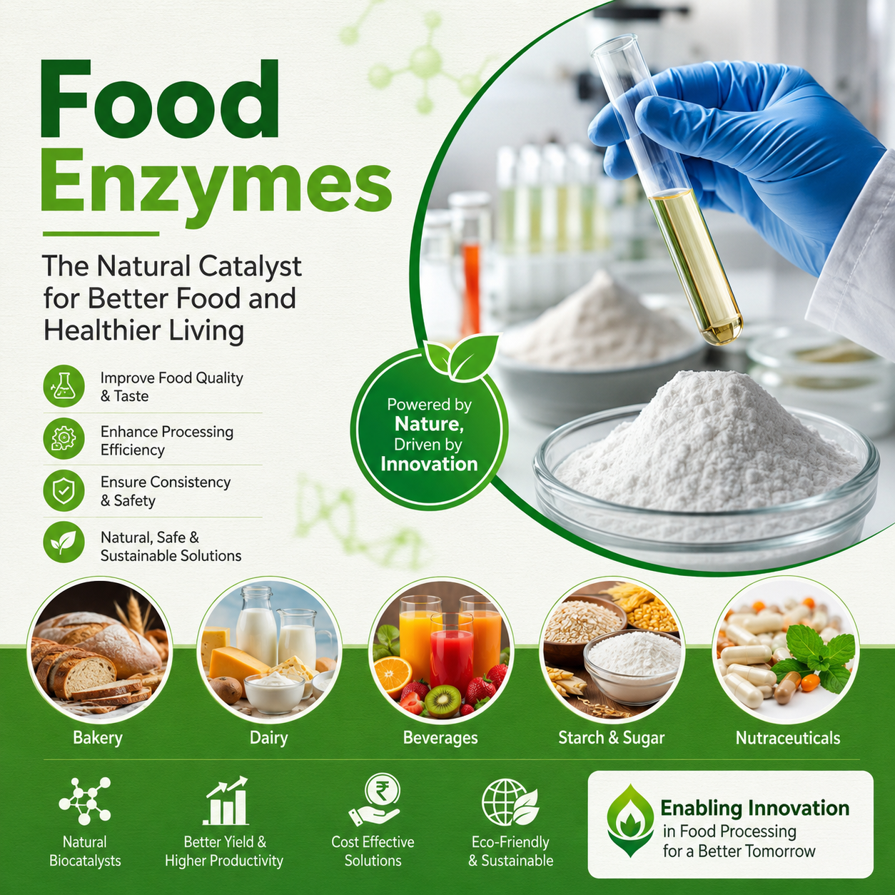 Food Enzyme Manufacturer in India