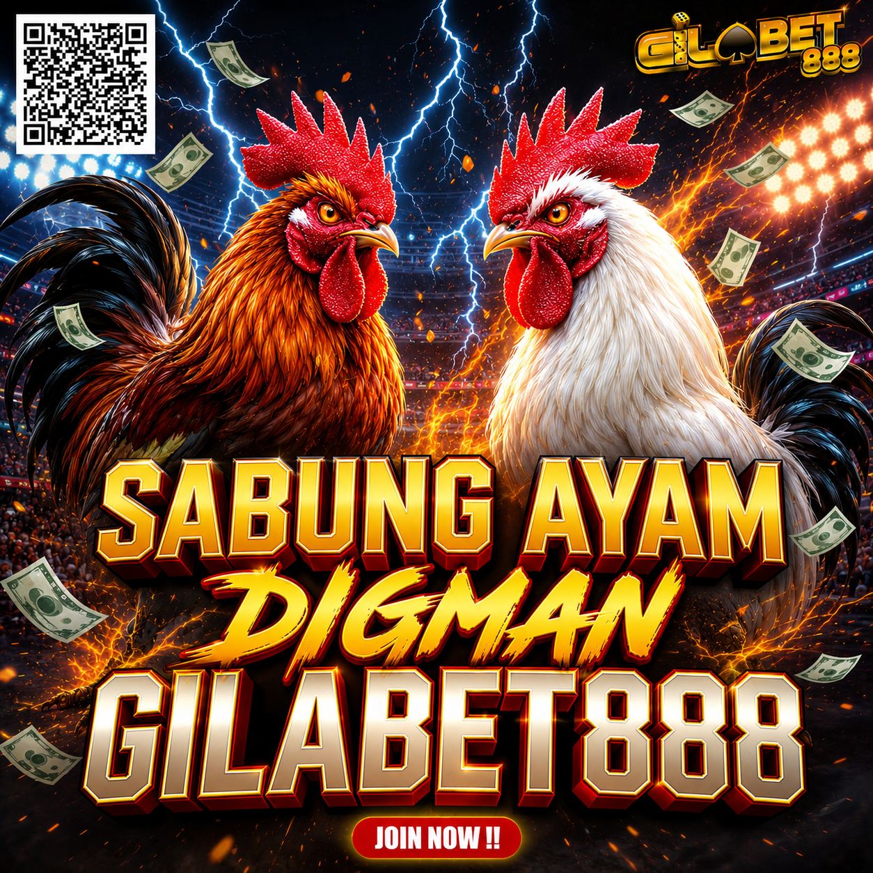 Gilabet888 | Agen Sabung Ayam DIGMAN Terbaik