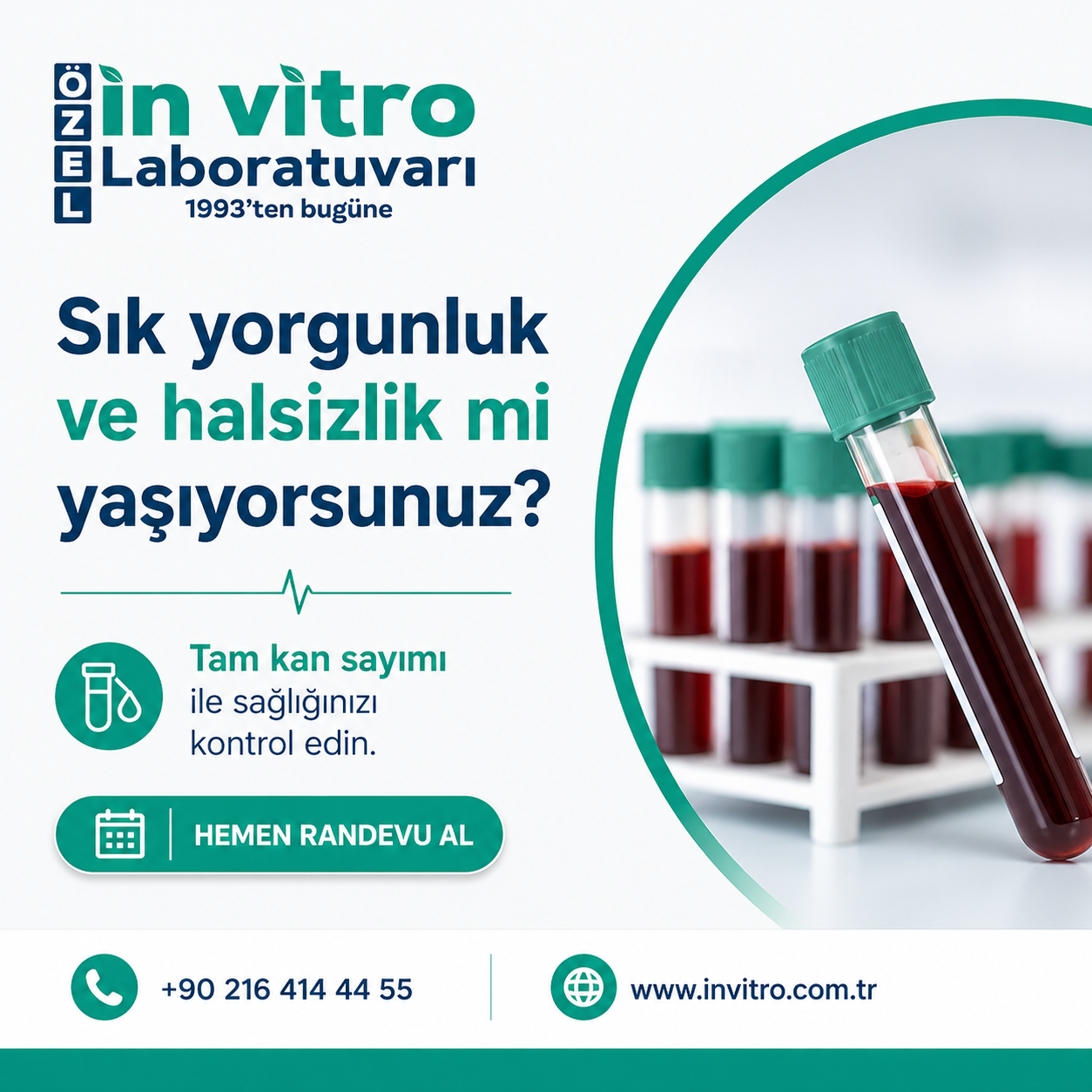 Kadıköy Tam Kan Sayımı