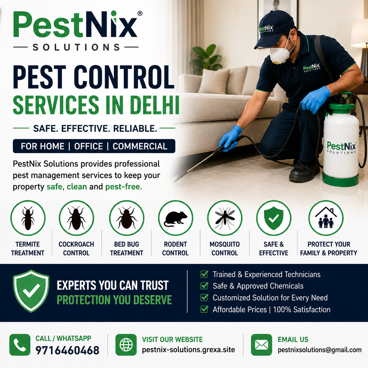 Best Pest Control Services in Delhi | PestNix Solutions