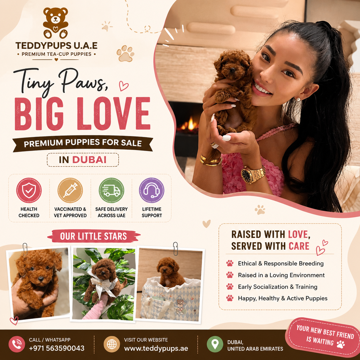 Premium Teacup Puppies for Sale in Dubai | TeddyPups UAE