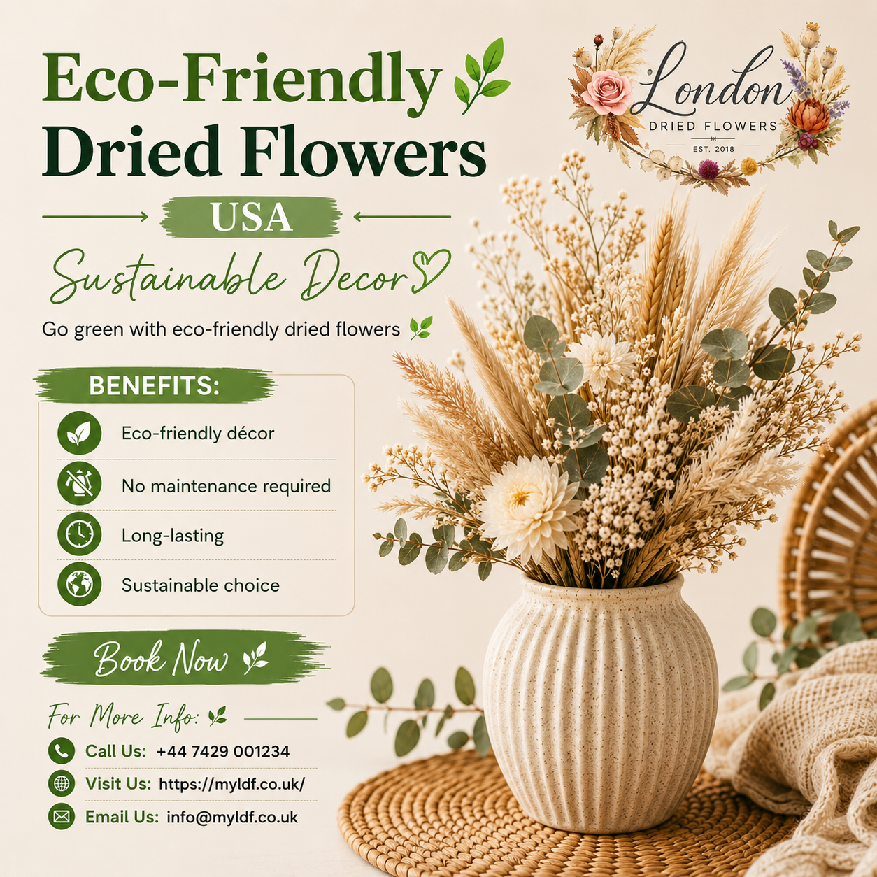 Eco-Friendly Dried Flowers USA | Sustainable Decor