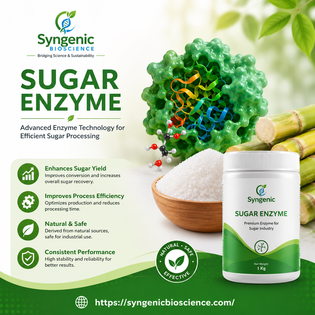 Sugar Enzyme: Benefits, Uses, and Importance in the Food Industry
