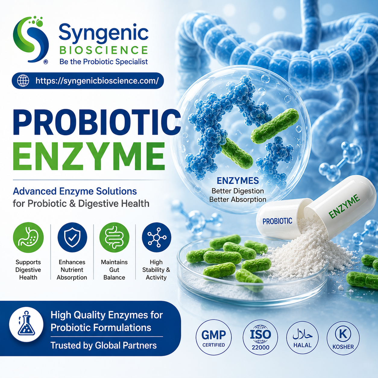 Probiotic Enzymes: Improving Digestion and Gut Health Naturally
