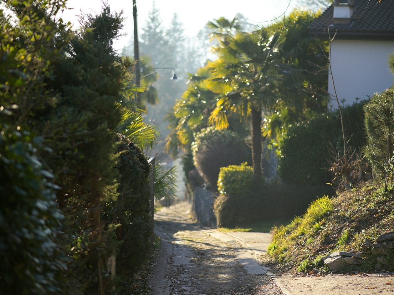 The Neighbour You Knew | The Street We Lost