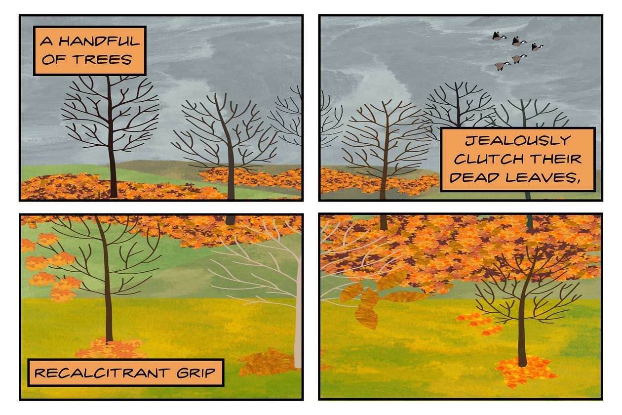 Haiku comic adapted from Jason McBride’s book “Wild Divinity”