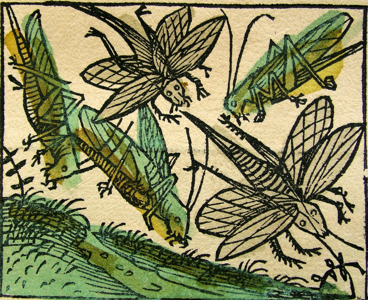 The Years That the Locusts Have Eaten