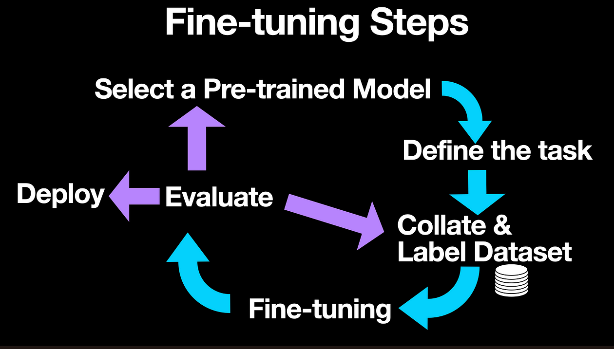 The six steps or stages in the fine-tuning lifecycle of an LLM