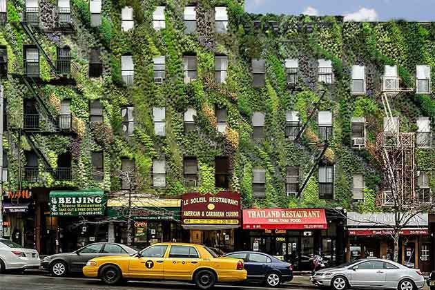 Answering All Your FAQs About Moss Walls - Eco Brooklyn