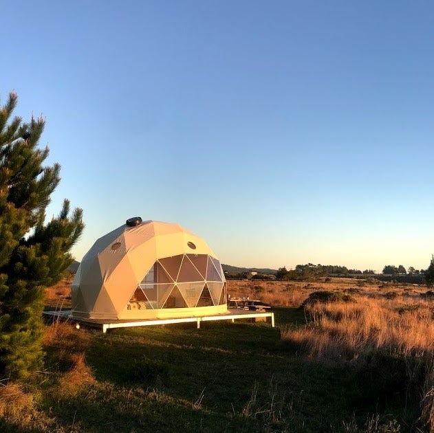Another view of the geodesic dome taken at twilight that shows a field of tall grass in the background.