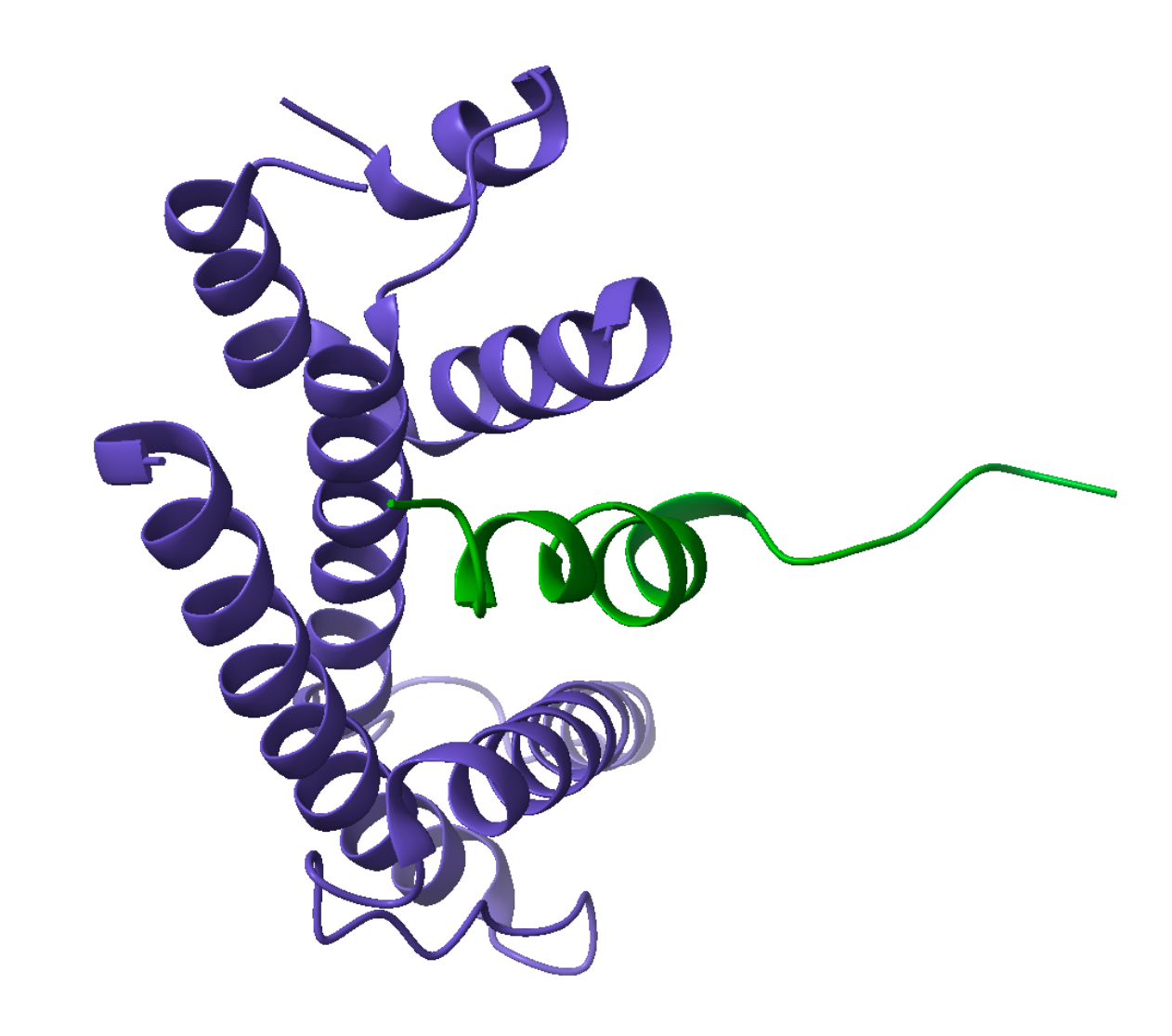 Structure of the RPGR BD–TTLL5 CID complex. RPGR BD in green. TTLL5 CID in purple. PDB 9PHH. CC by SBGrid.