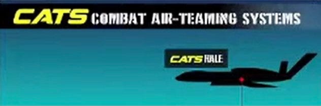 HAL » Combat Air Teaming System (CATS) » Decoded